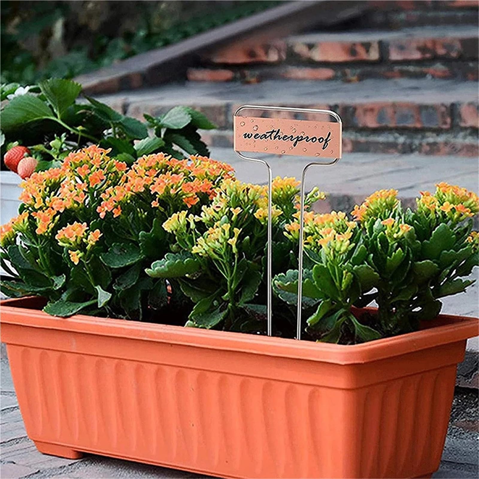 Pflanzenschilder Pflanzenetiketten aus Metall, Pflanzenmarkierungen mit Markierungsstiften, for Gartenetiketten, for Gartenmarkierungen im Freien