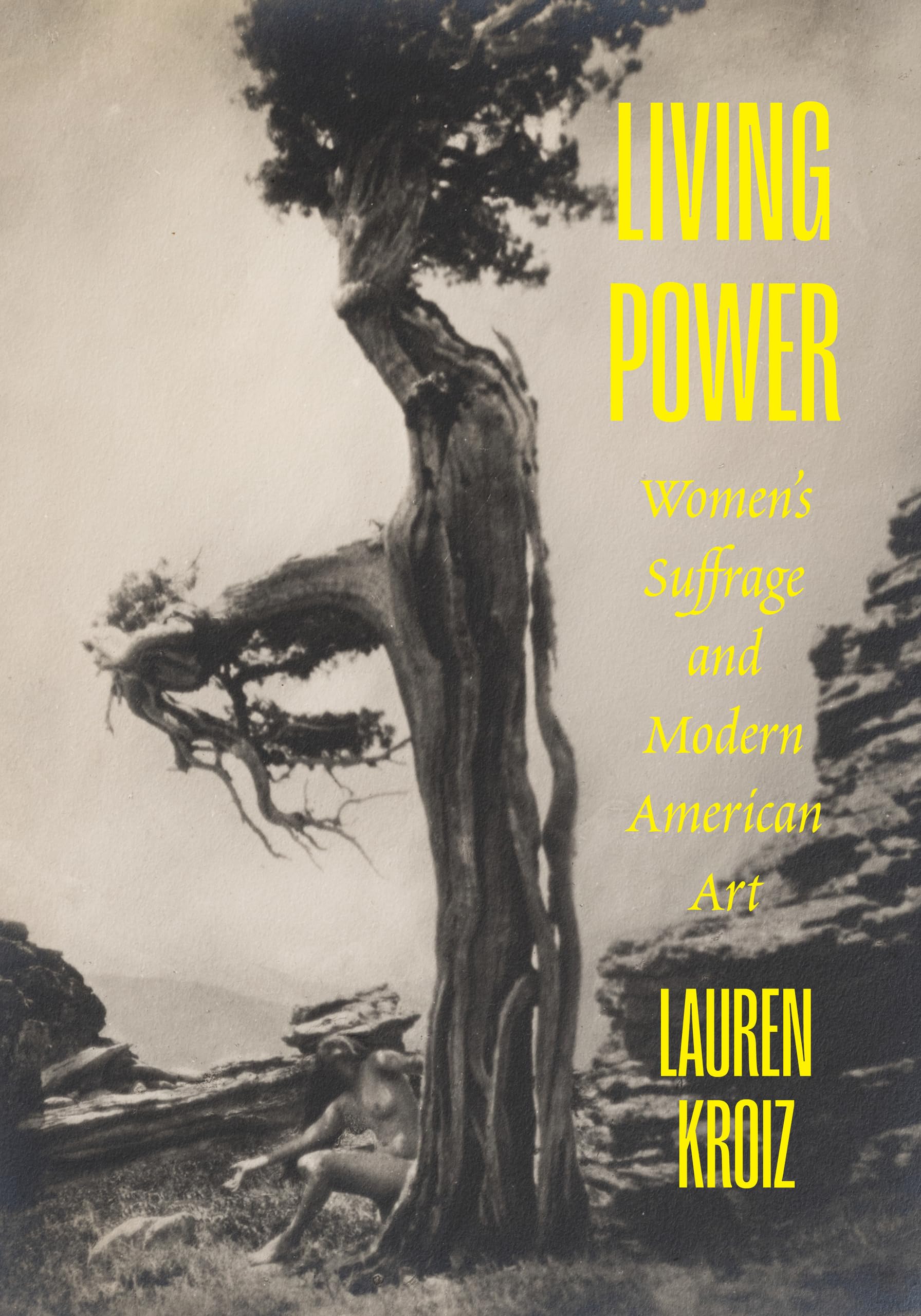 Living Power Women's Suffrage livre histoire art moderne usa féminisme anglais