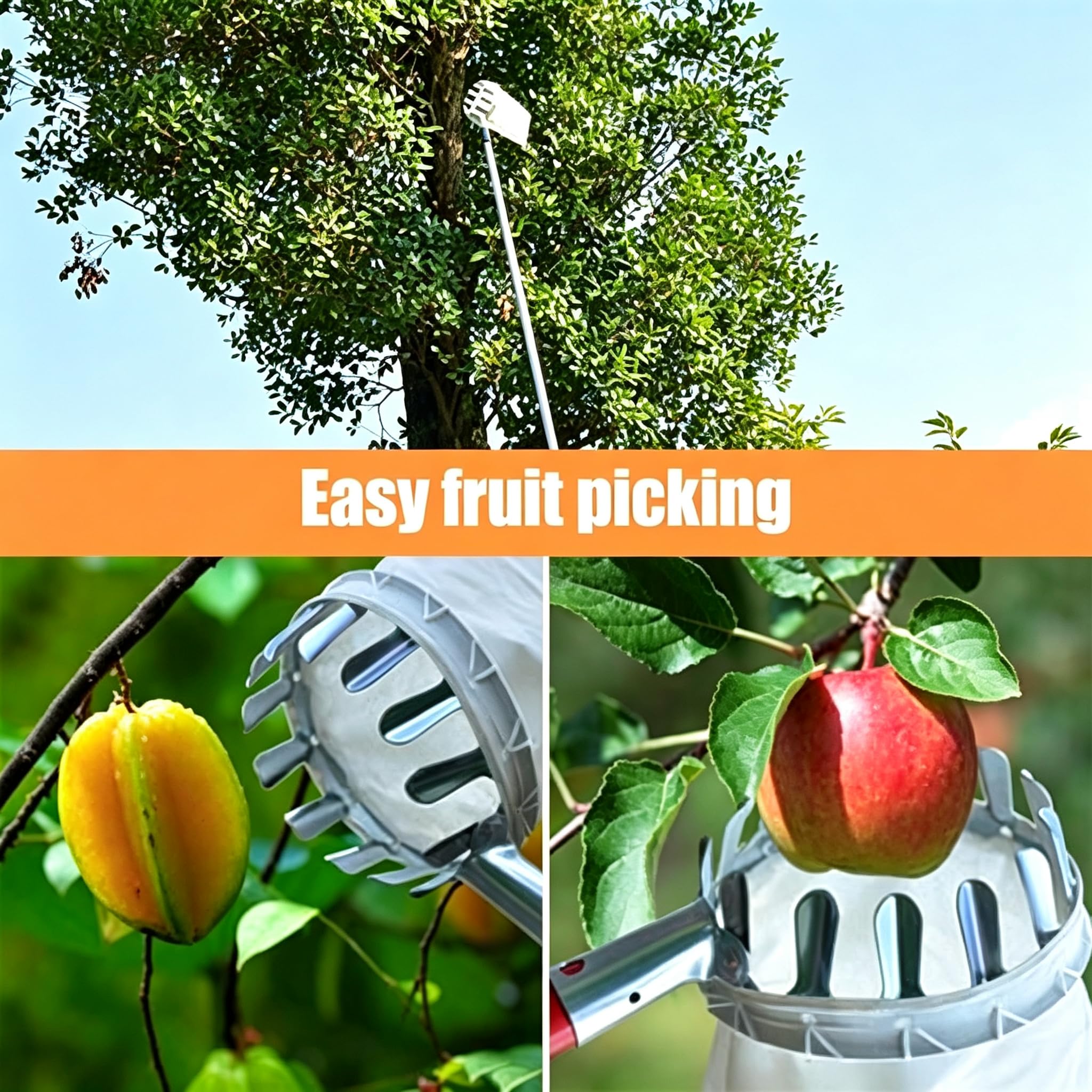 Obstpflücker mit Korb, Teleskop-Obstpflückwerkzeug