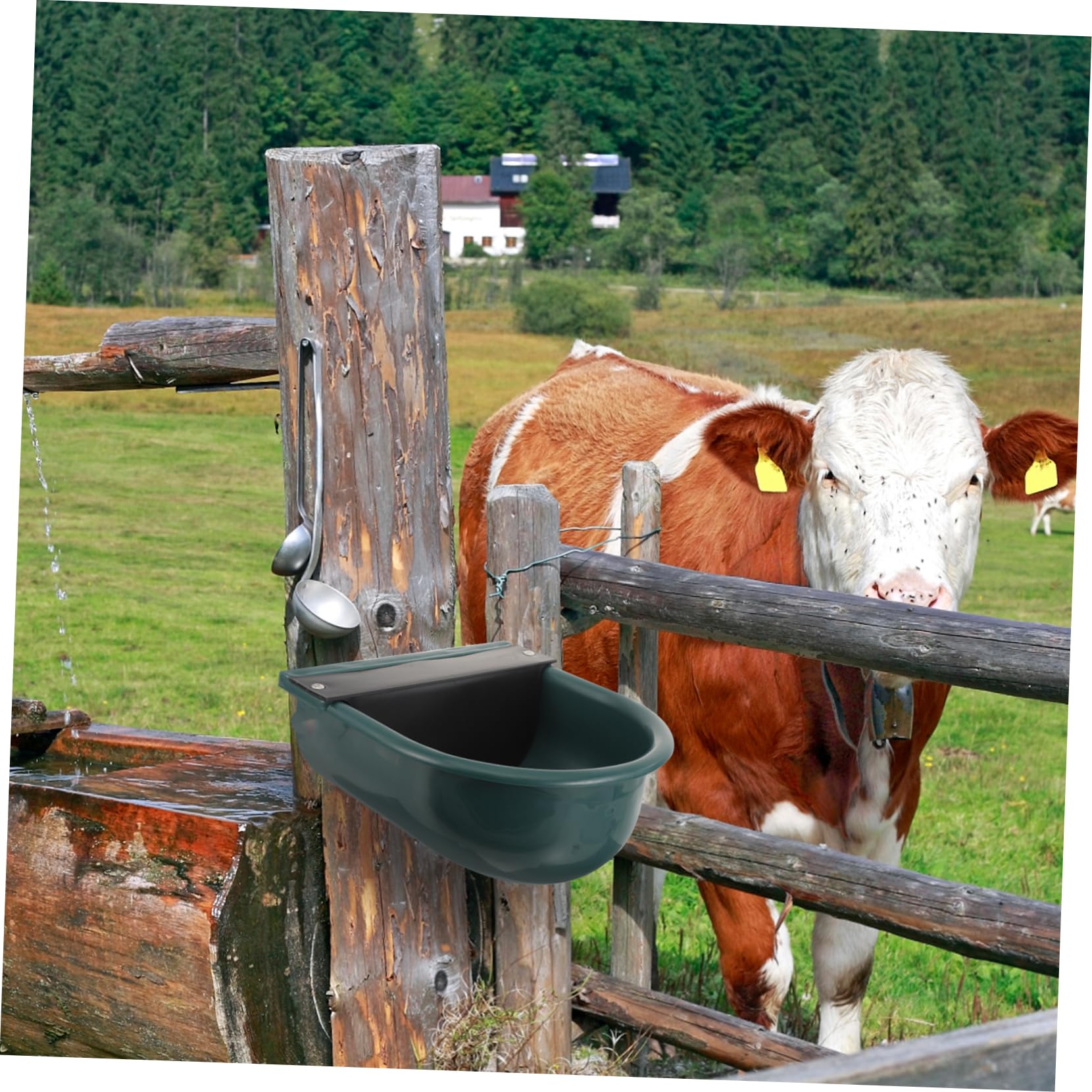 Abreuvoir Automatique Bovin en Plastique pour Vaches et Chèvres | Propre et Hygiénique, Résistance à Corrosion, Entretien Simple, Usage en Exploitation au Quotidien