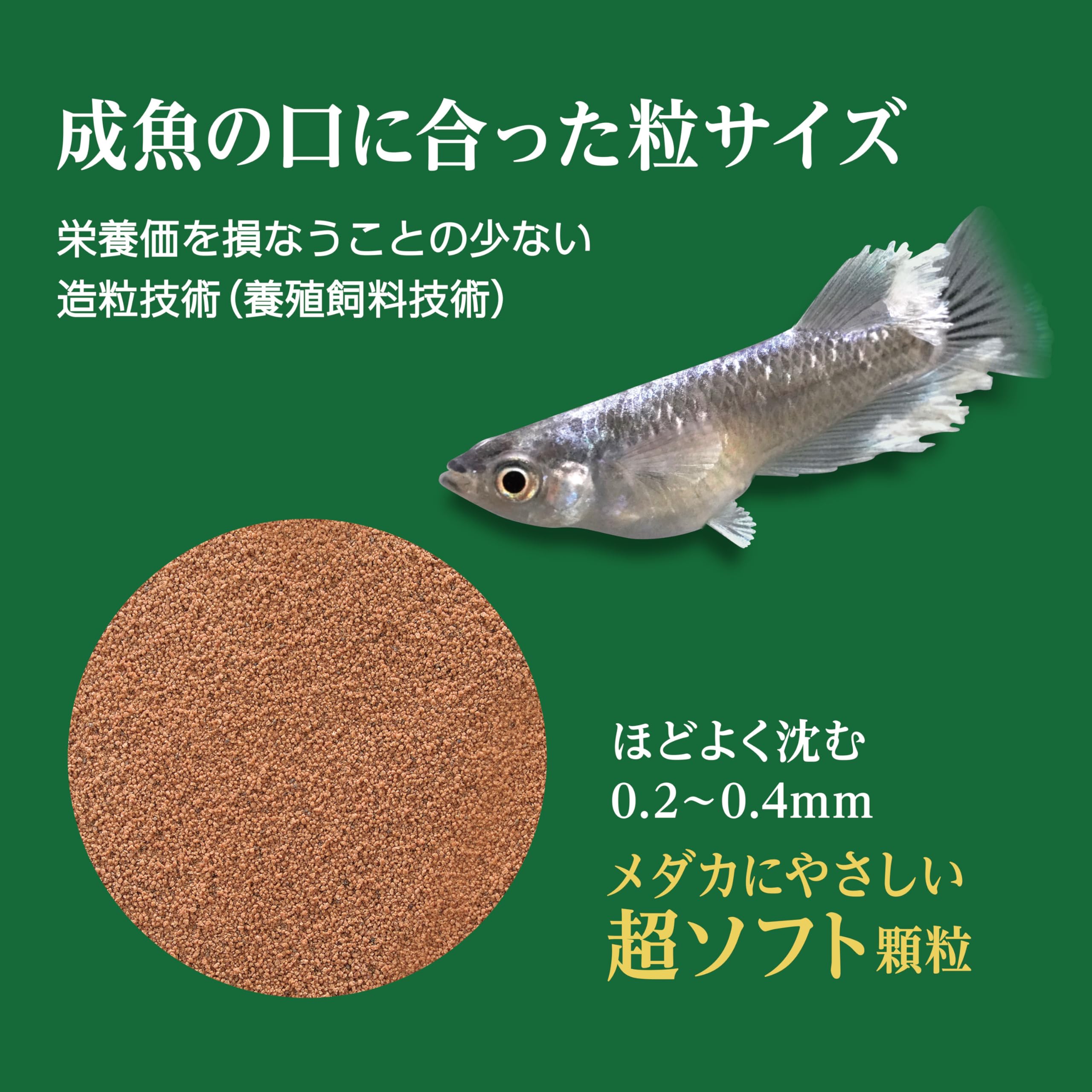Amazon | ジェックス メダカ元気 彩姫 極上 100g 成魚用 顆粒 高栄養