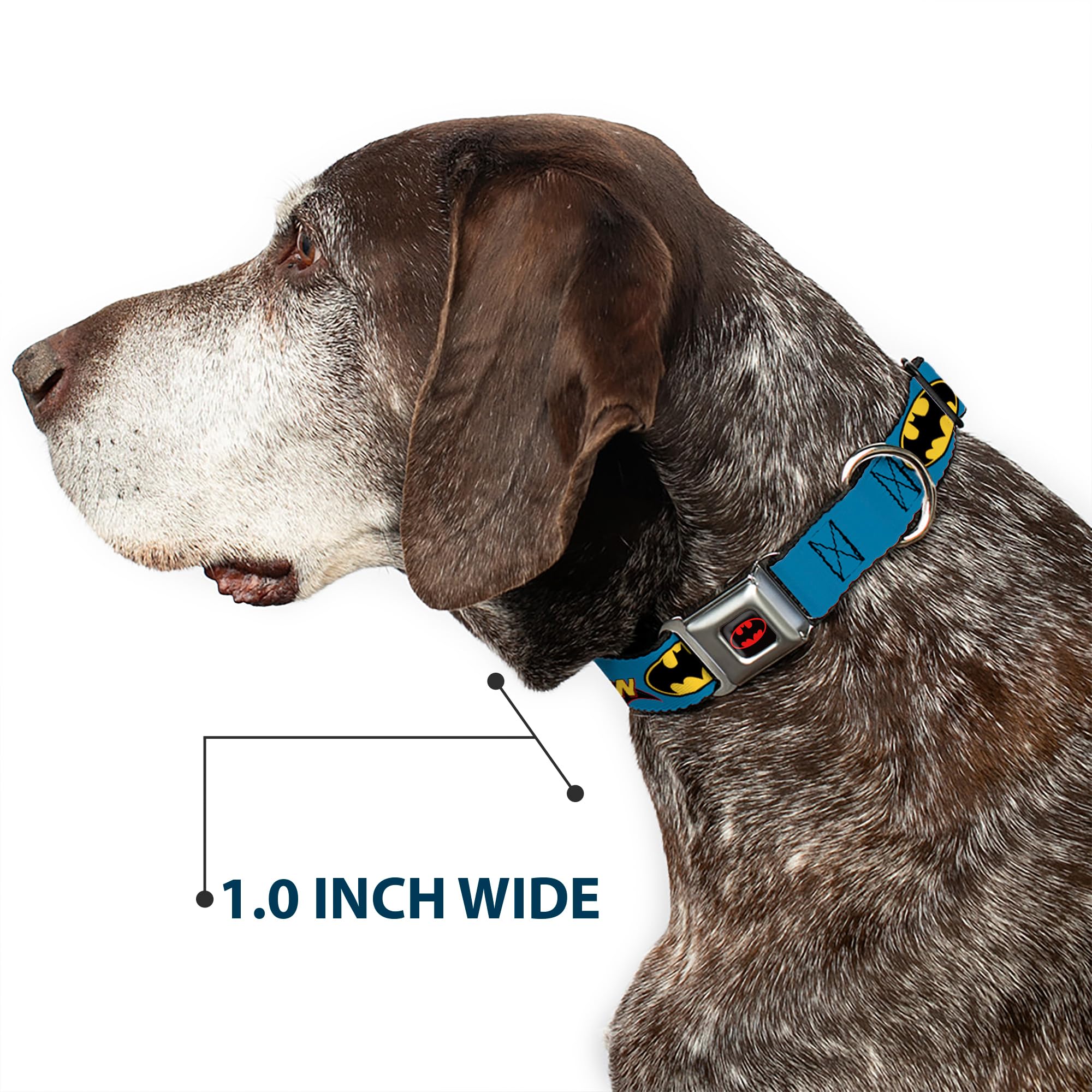 Buckle-Down DC-WBM013-WL Dog Collar Seatbelt Buckle, Vintage