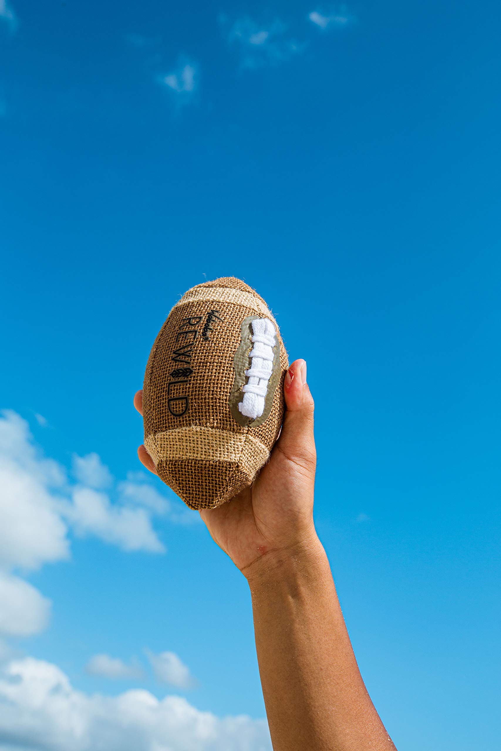 Waboba Rewild 6" American Football
