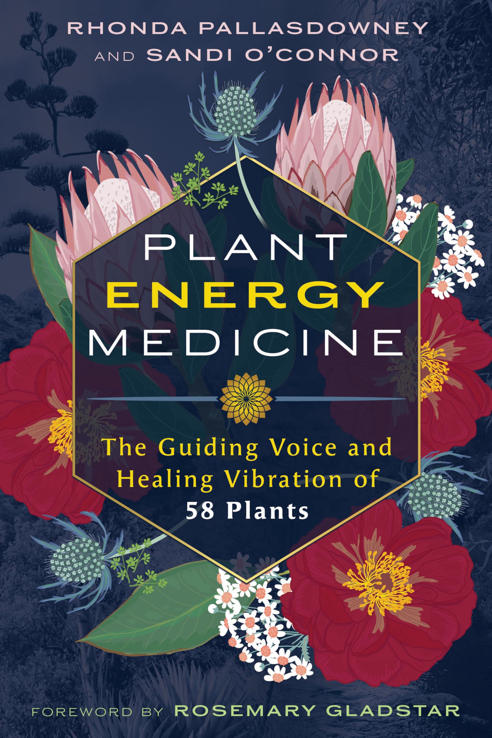 Plant Energy Medicine by Rhonda PallasDowney PAPERBACK 9798888501757