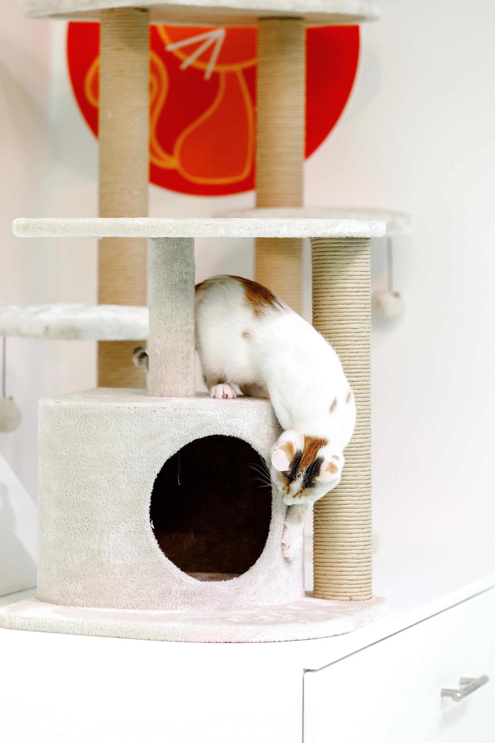 Petface Eck-Kratzbaum fr Katzen, cremefarben : Amazon.de: Haustier