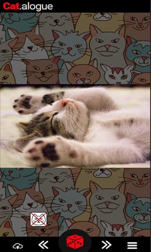 Cat.alogue