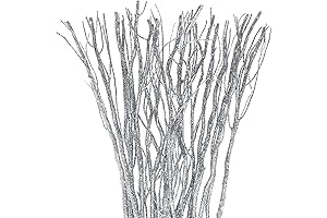 50 Pcs Dried Willow Vase Filler Curly Willow Branches for Decoration