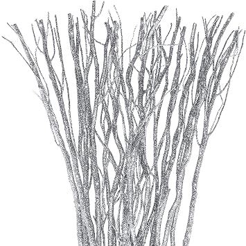 Xinnun 50 Pcs Dried Curly Willow Branches, Glitter Silver, 15.75 Inch