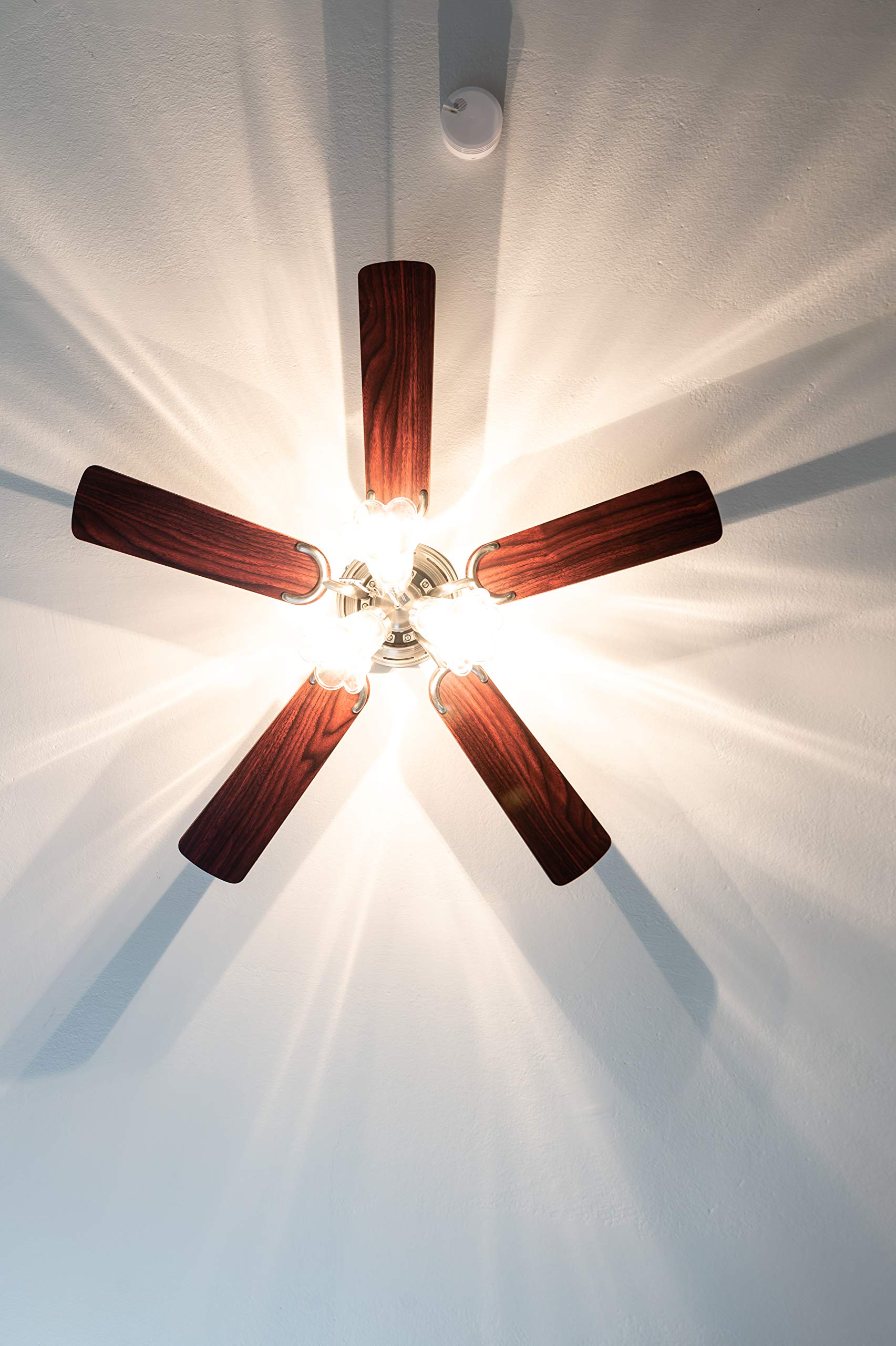 Pepeo Kisa Deluxe Nichel Spazzolato con Illuminazione Ventilatore da soffitto. 44 W, Palissandro/Noce Scuro, 105 cm