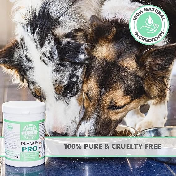 Pets Purest Plaque Off Powder - 185g Plaque Pro Tartar & Plaque Remover for Dogs, Cats & Pet. 100% Natural Bad Breath, Teeth & Gum Disease Oral Health Hygiene Dental Care Formula