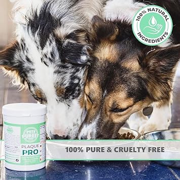 Pets Purest Plaque Off Powder - 185g Plaque Pro Tartar & Plaque Remover for Dogs, Cats & Pet. 100% Natural Bad Breath, Teeth & Gum Disease Oral Health Hygiene Dental Care Formula
