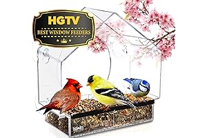 Window Bird Feeders | Bird Watching Enjoyment Made Clear