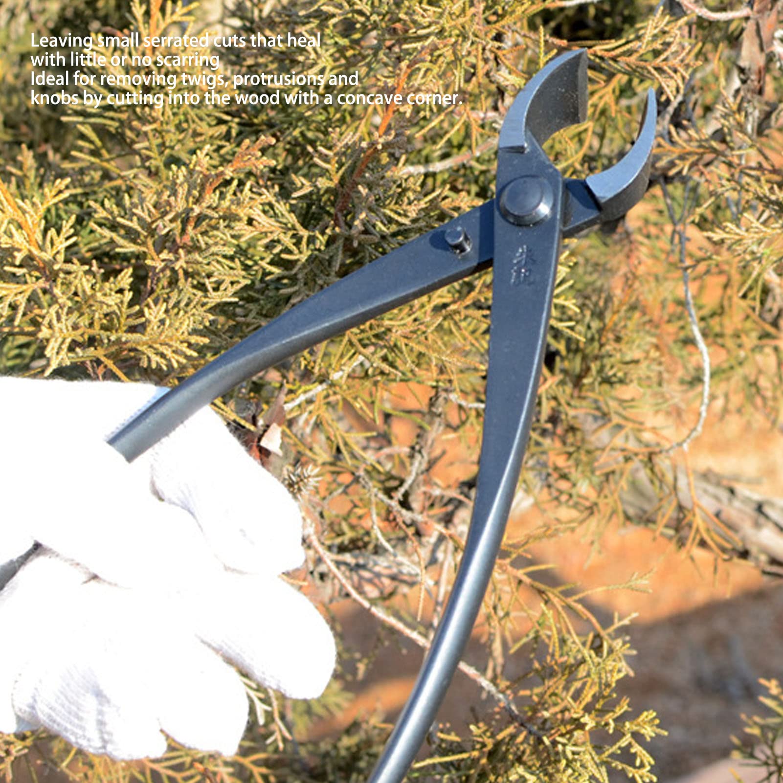Bonsai Concave, coupe-branche, outils de jardinage en acier au manganèse haute résistance avec poignée ergonomique pour la modélisation de bonsaï, arbres de jardinage