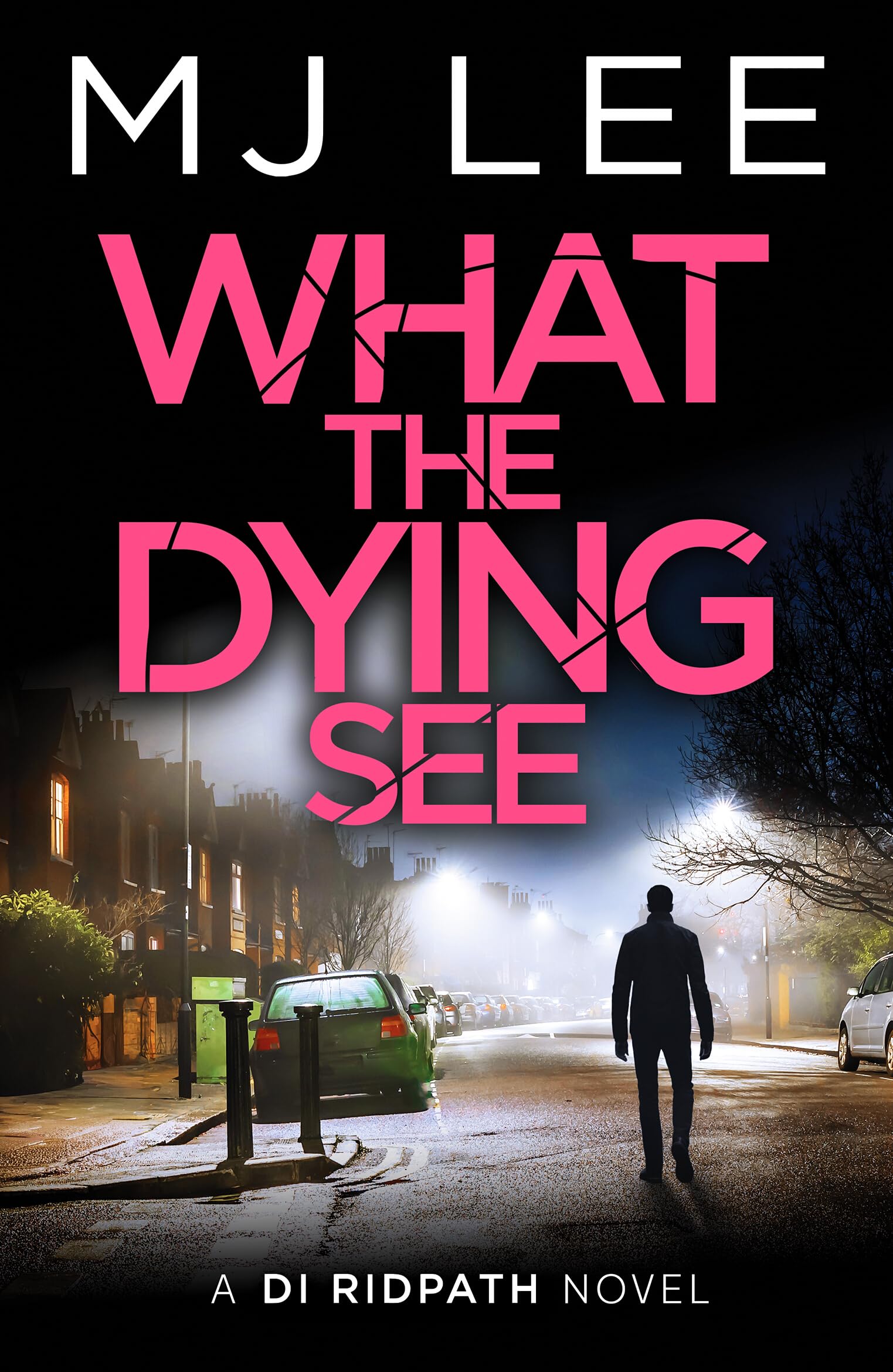 What the Dying See: An utterly gripping and fast-paced crime thriller set in Manchester (DI Ridpath Crime Thriller, 12)