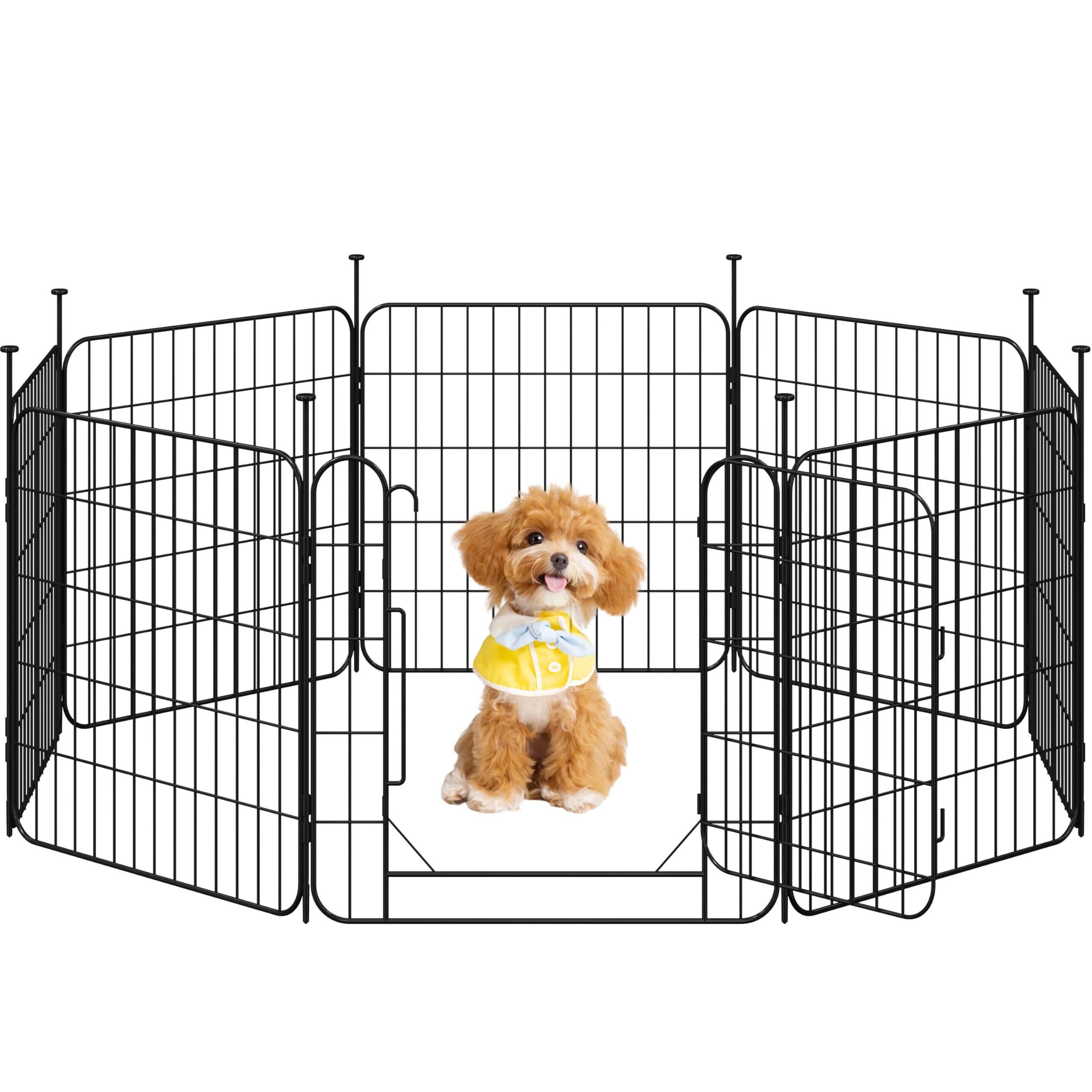 Parque para perros exterior
