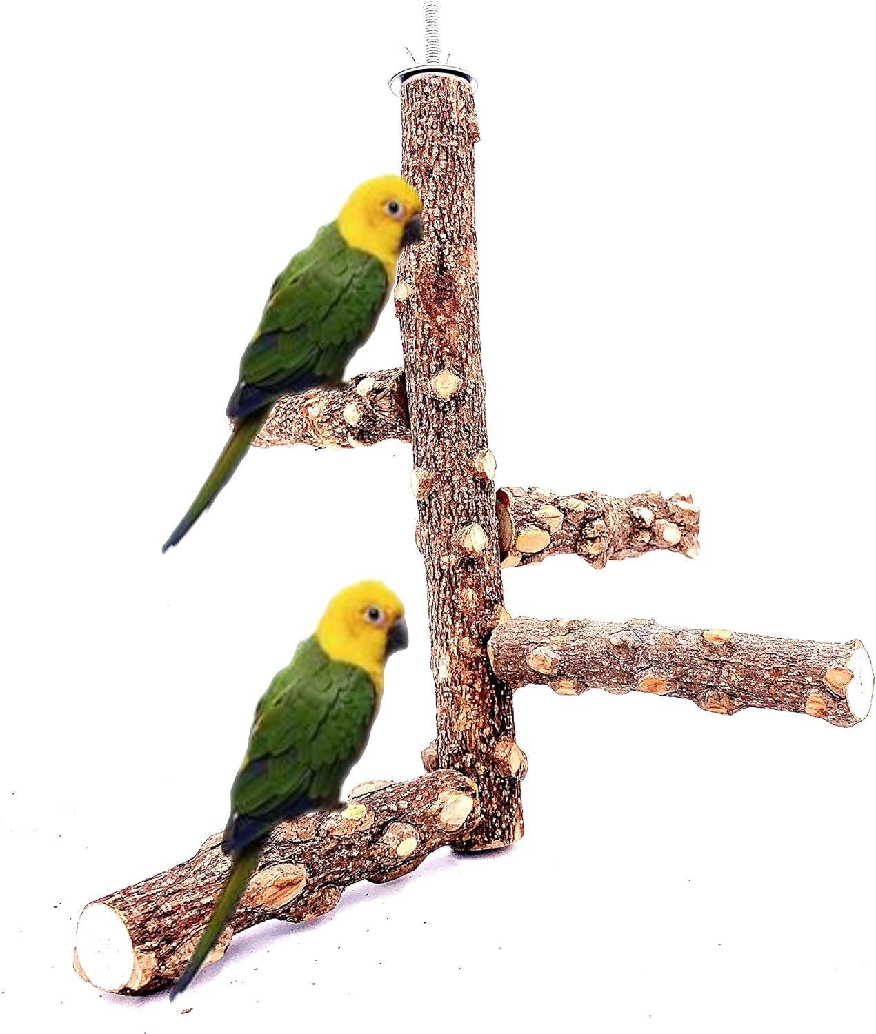 Pet Supplies FTVOGUE Bird Wooden Perch Wooden Platform Natural Wood