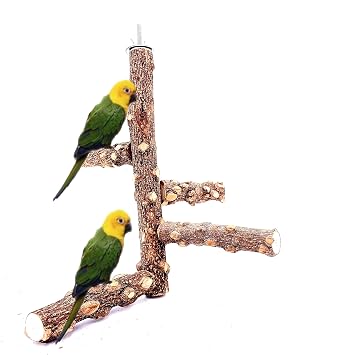 Borangs Bird Perch Natura Wood Stand Toy Branch for 3-4pcs Small Medium Parrots Cages Toy S