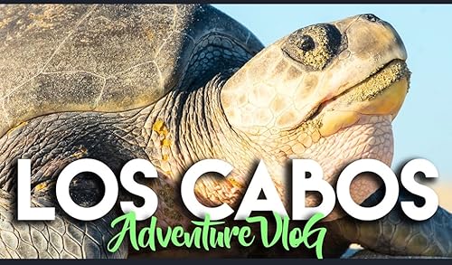 Mexico Travel by Fawesome
