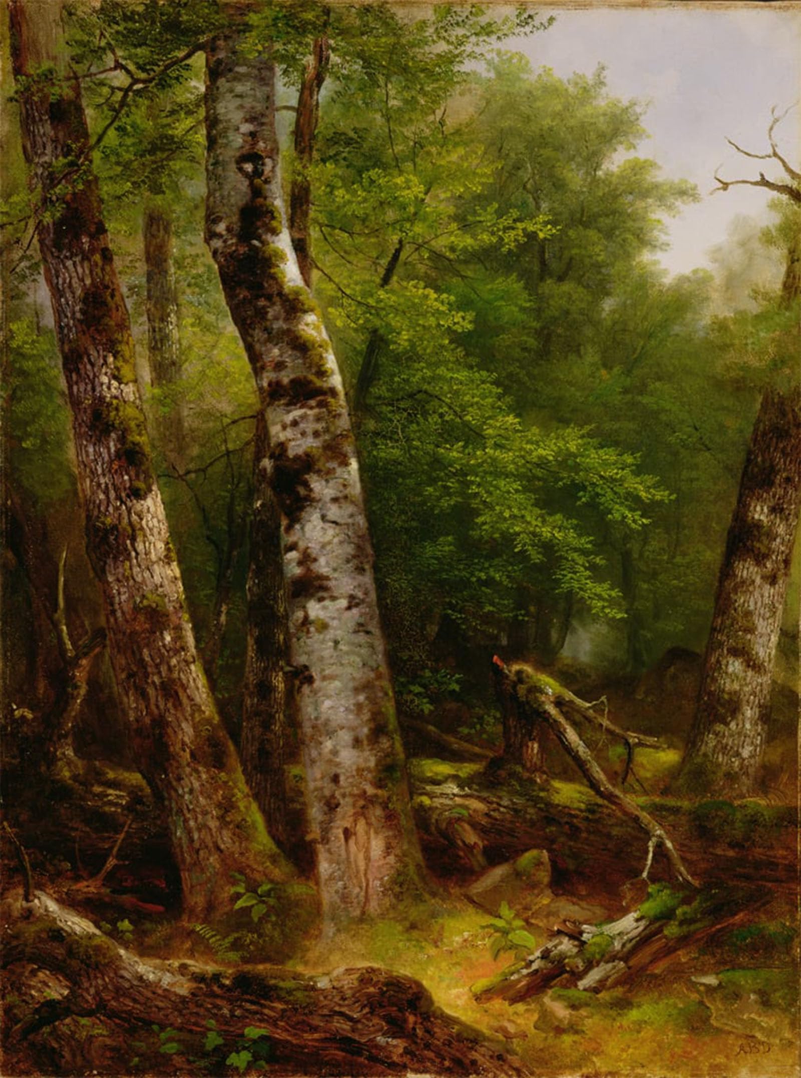 Pintura mural en lienzo de los abedules de Asher Brown Durand, decoración artística de 60x90cm 5