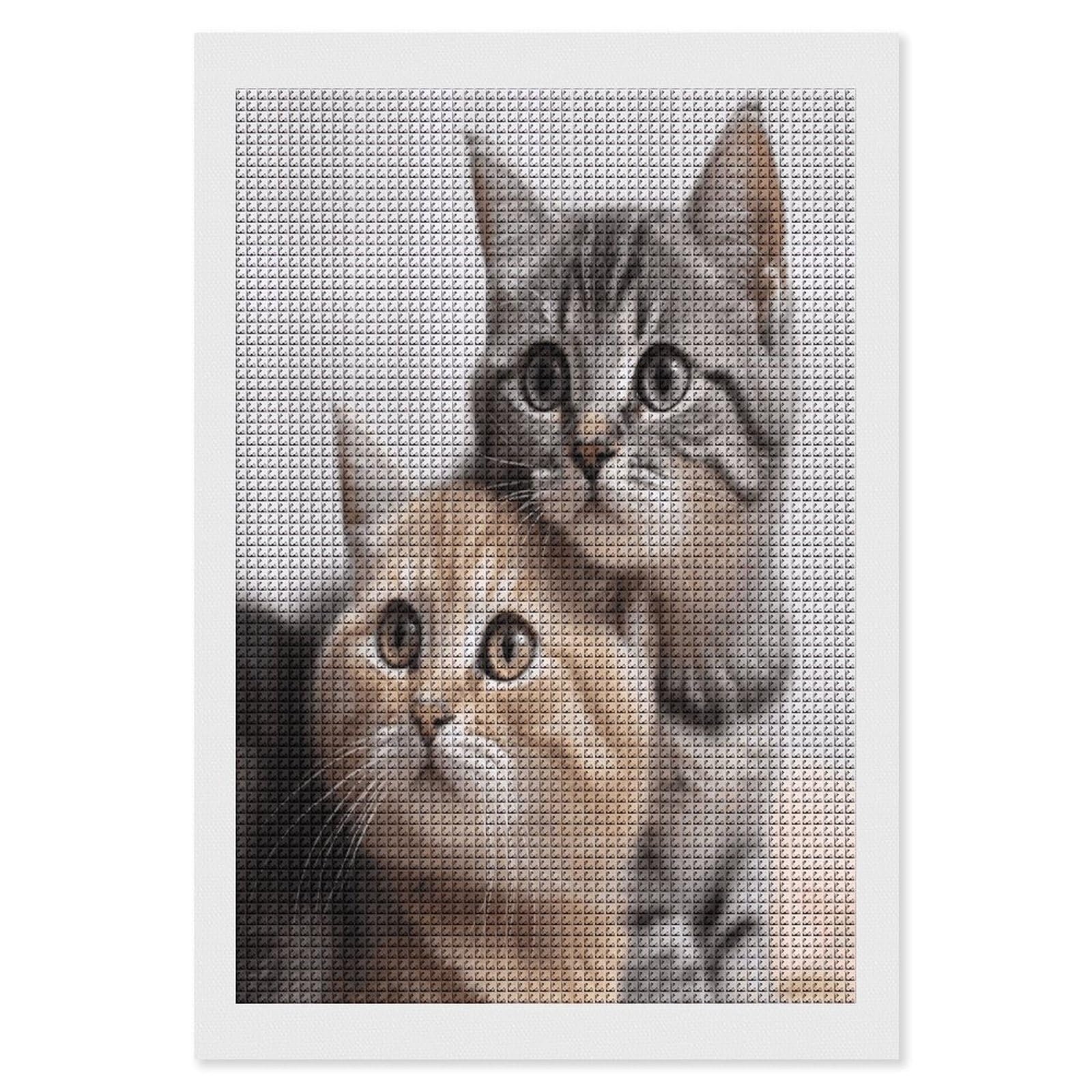 FodPand Cats Diamond Painting Kit for Beginner Fun 5D DIY Crafts for Adults Diamond Art Kits Square Diamond Art Canvas Painting Gem Art Crafts for Home Wall Decor 8"x12"