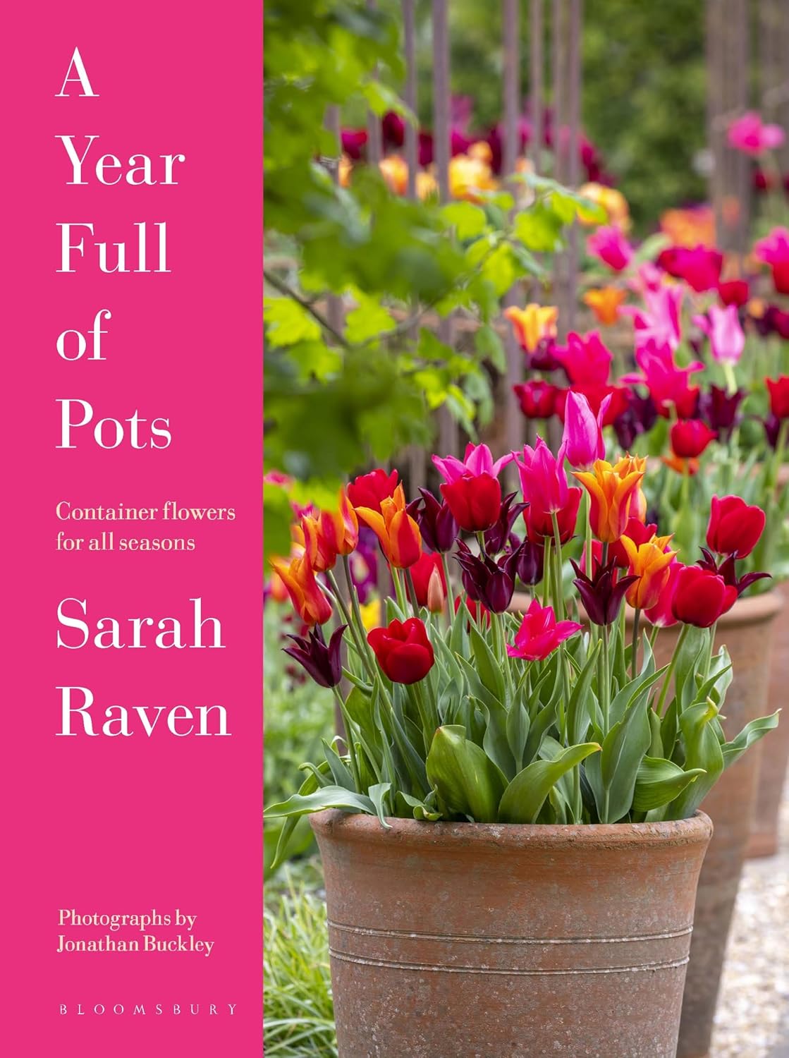 A Year Full of Pots Container Flowers for All Seasons Kindle edition