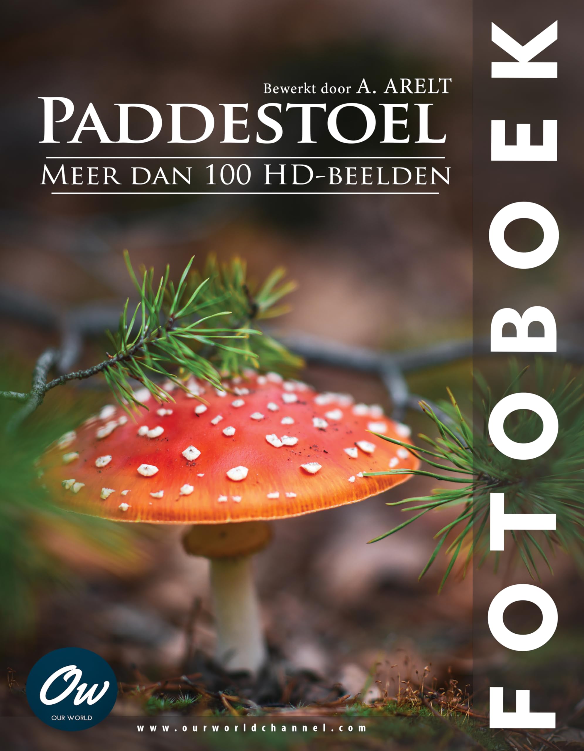 Paddestoel album photo nature pour sublimer la décoration de votre salon