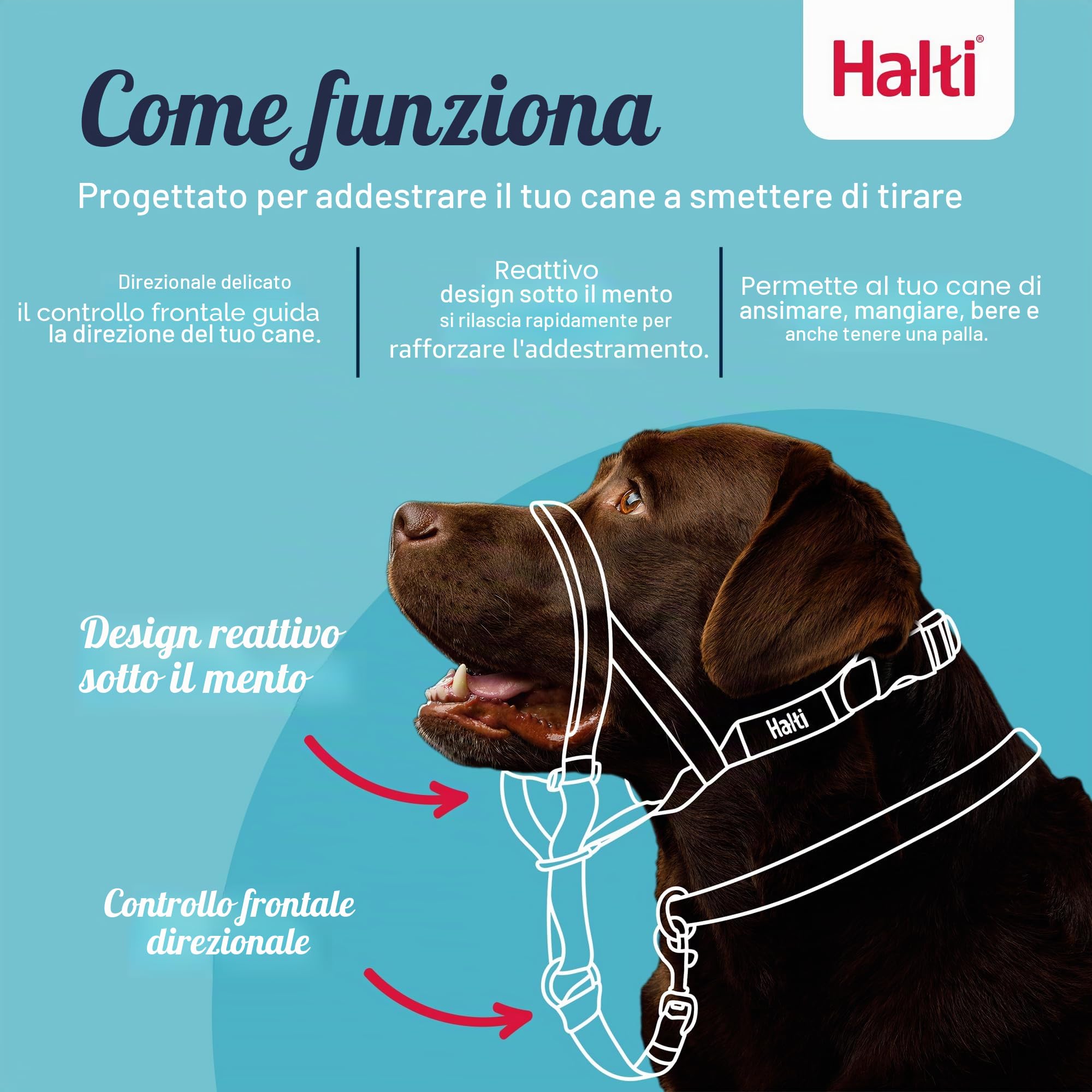 HALTI - Collare a cavezza Per impedire che il cane tiri il guinzaglio, regolabile, leggero, con fascia per il muso imbottita, collareanti-trazione per l’addestramento di cani medi (Taglia 3, Nero)