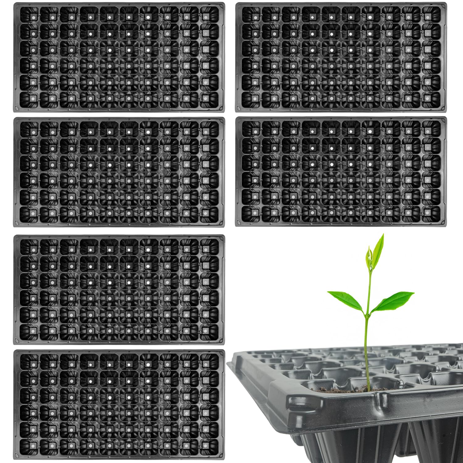 Woodside 60 Cell Root Trainer Seed Trays 6 Pack | Reusable Propagation Trays for Seedlings & Cuttings | Deep Cell Plant Starter Trays with Drainage Holes | Garden Growing Equipment
