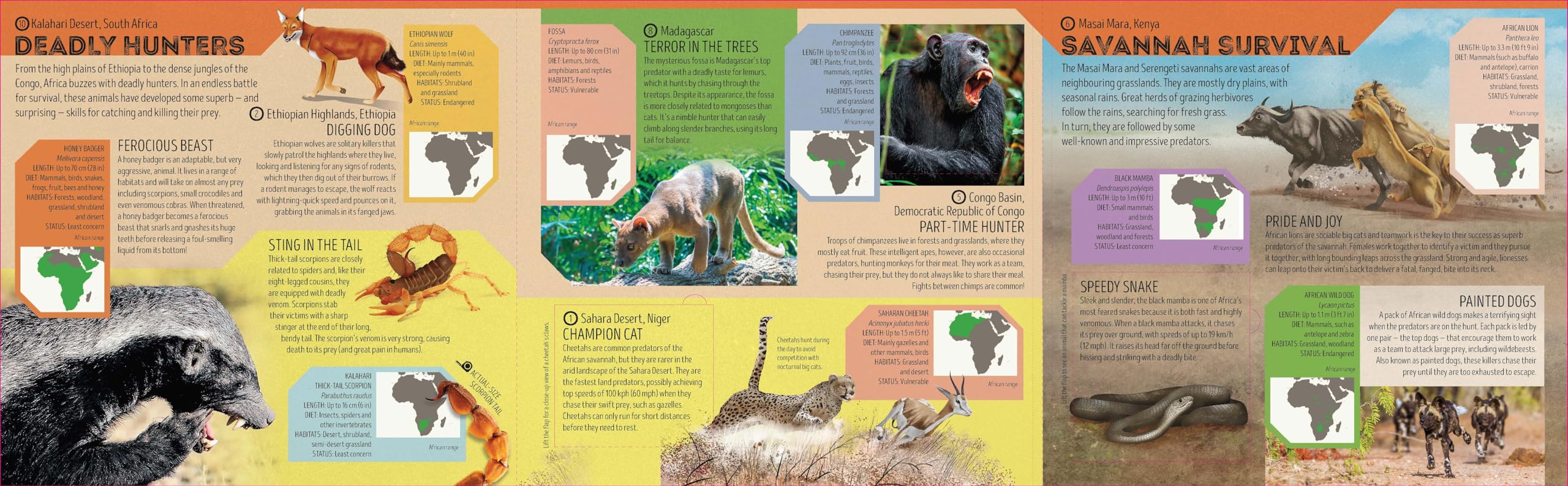Deadly Animal Atlas -anglais-: Amazing Facts, Fold Out Maps & Lift the Flaps | Meet Snakes, Sharks, Tigers, Jellyfish & More | Packed with Beautiful Illustrations