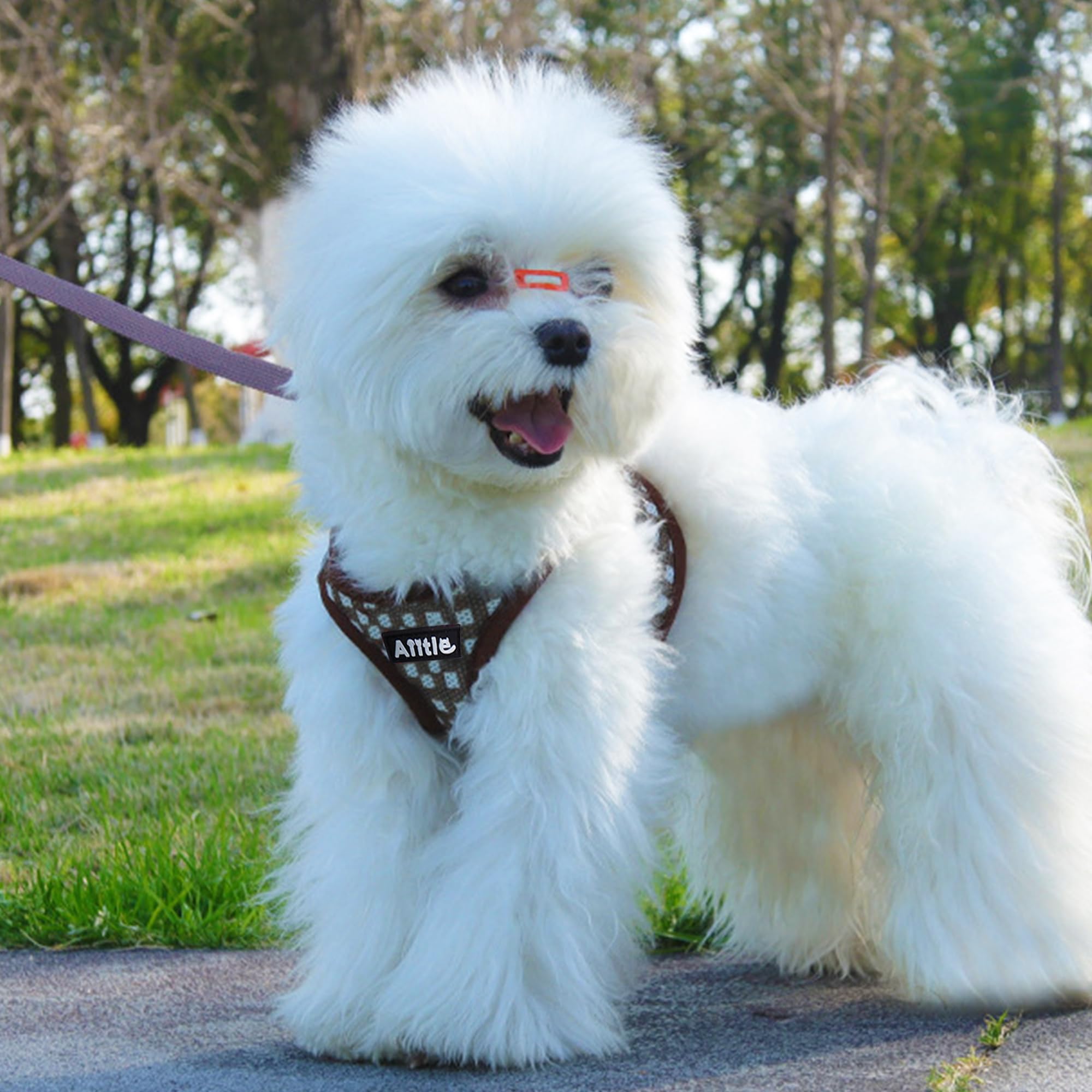 AIITLE No Pull Dog Harness and Leash Set - Image 2