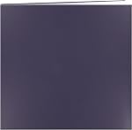Pioneer Photo Albums MB-10P Post Bound Leatherette Cover Memory Book, 12 by 12-Inch, Baby Blue