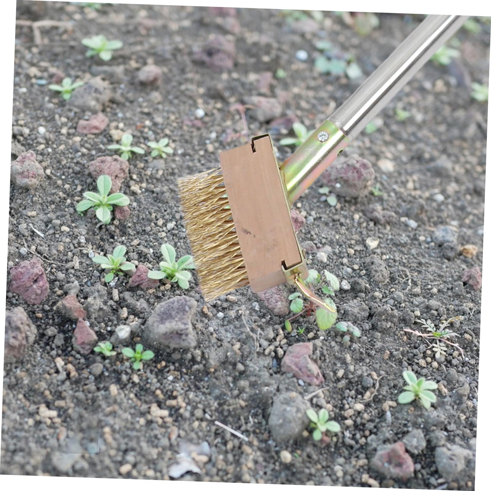 Milisten 1 Juego Cepillo de Jardín de Inoxidable con Eliminación de Hierbas Patios Herramienta Eficaz de Limpieza de Grietas y Suciedad