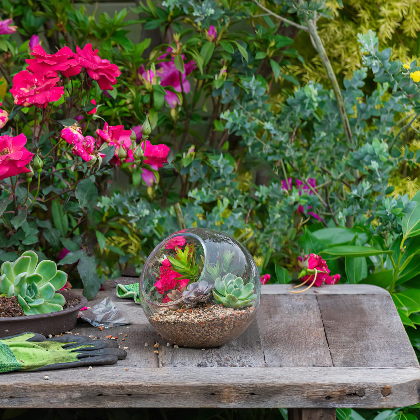 Amazon.co.jp: Milisten 3個 ガラス テラリウム 植物用 卓上 グローブ