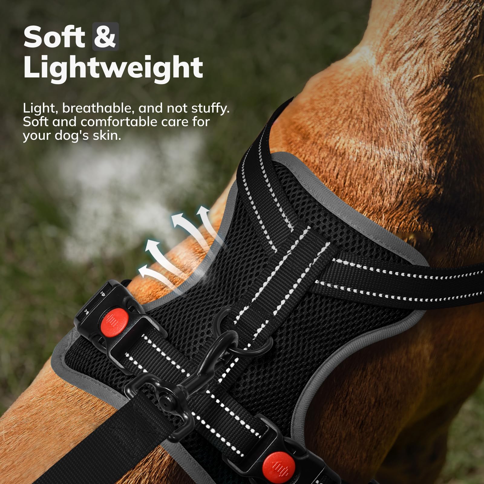 FAYOGOO Pettorina Cane, Pettorina Cane Taglia Media Regolabile, Traspirante Pettorina Cane Taglia Grande con Guinzaglio, Pettorina Antifuga Cane per la Corsa, Passeggiate, Jogging (Nero, XL)