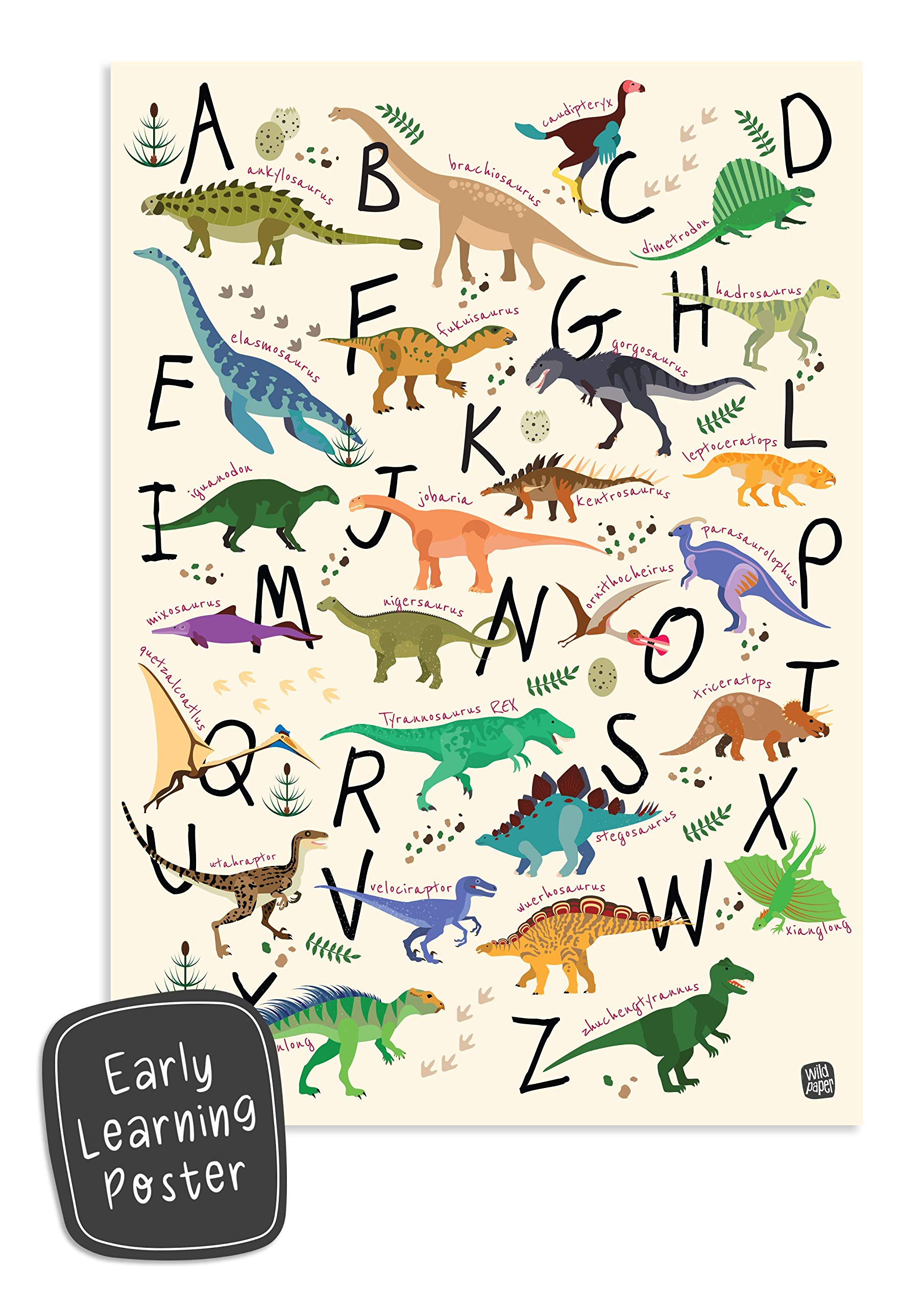 Wildpaper Early Learning Dinosaurs Non Tearable Poster for Kids | Montessori, Visual Learning | 12x16in- Multi Color (B08CF27N1B) Amazon Price History, Amazon Price Tracker