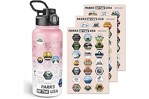 National Parks Water Bottle with Stickers, Straw and Travel Case