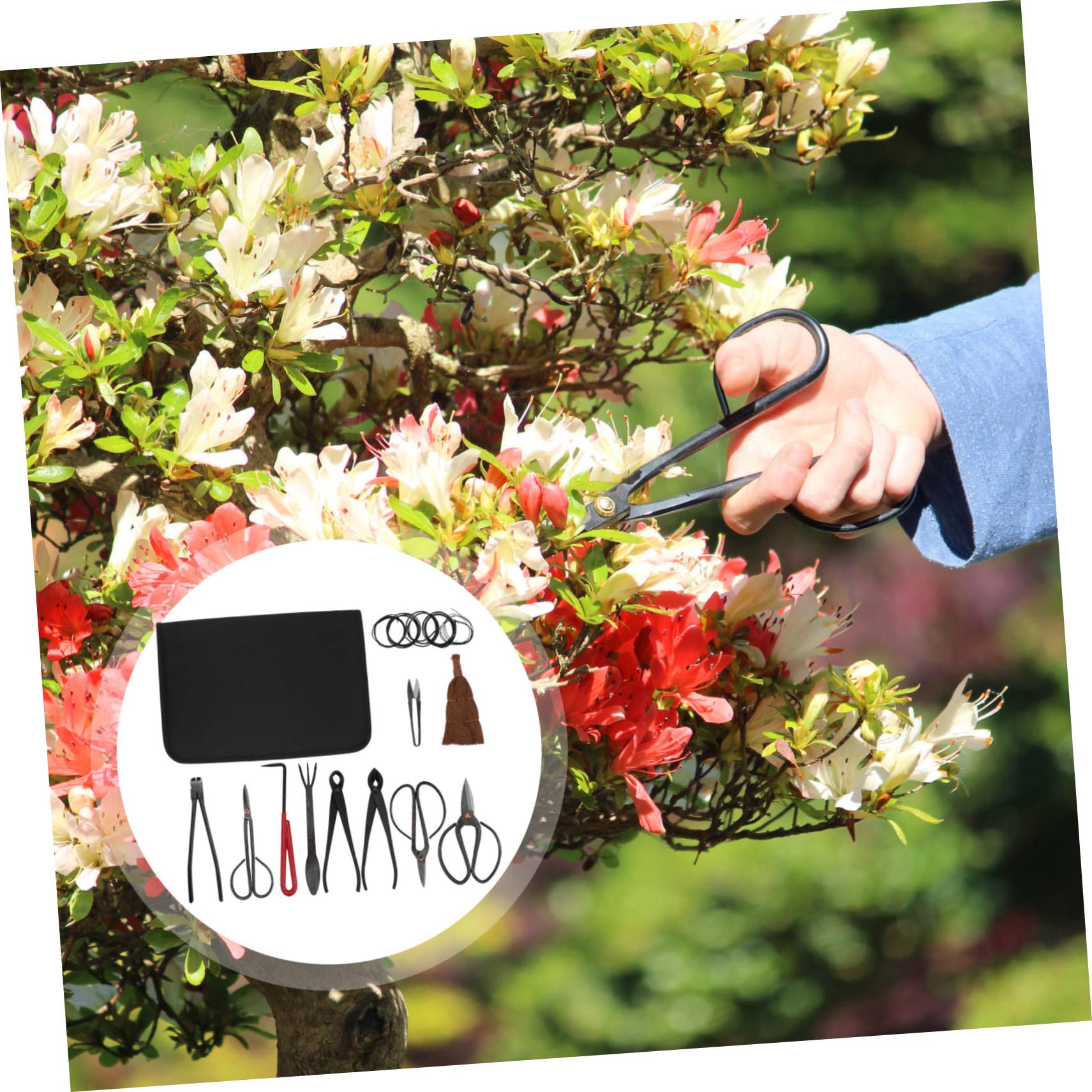 VICASKY 1Set di cesoie da giardino professionali per taglio preciso di piante d'appartamento, durevole e versatile per interni