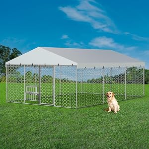 Pet Supplies