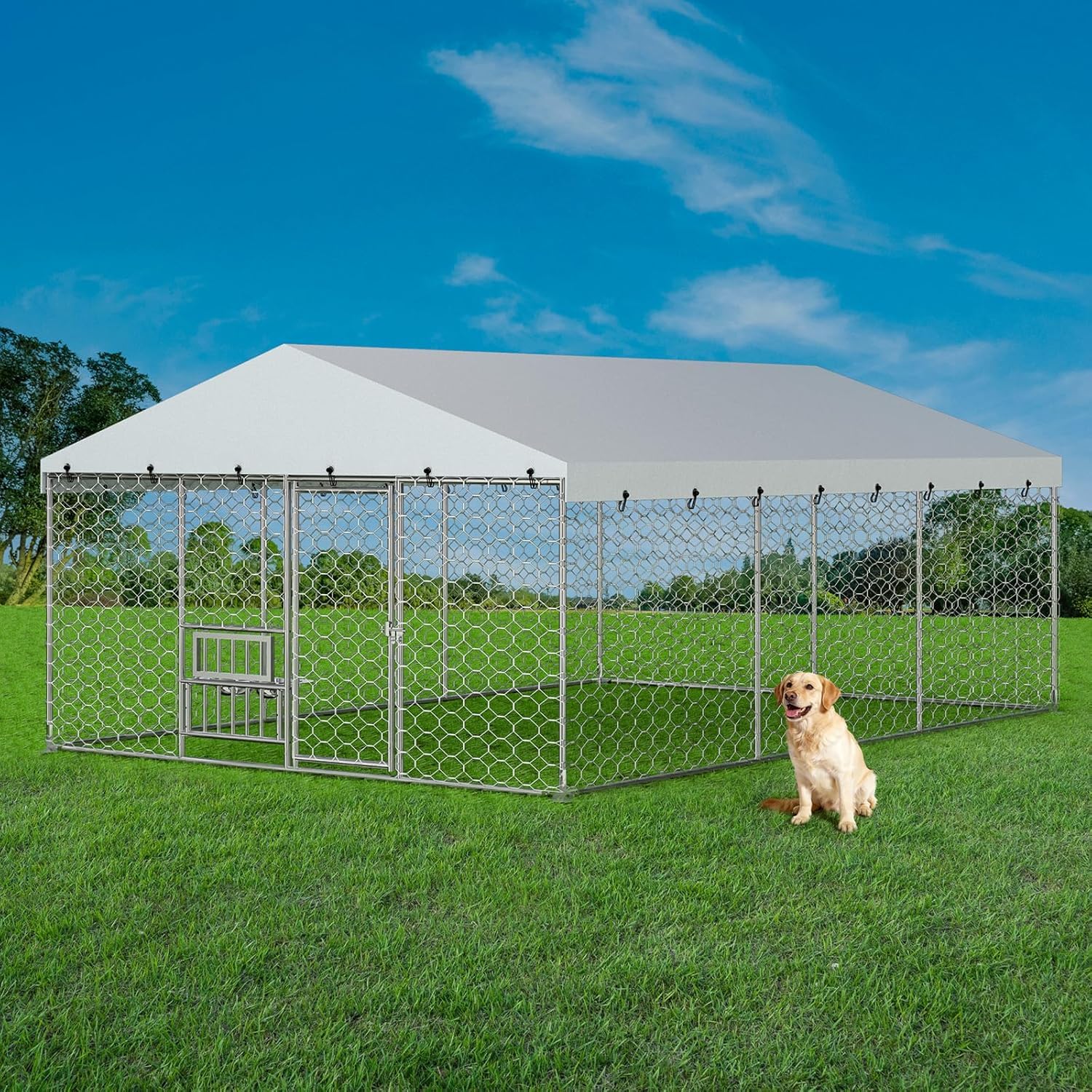 Lyromix 10x15FT Galvanized Outdoor Dog Kennel
