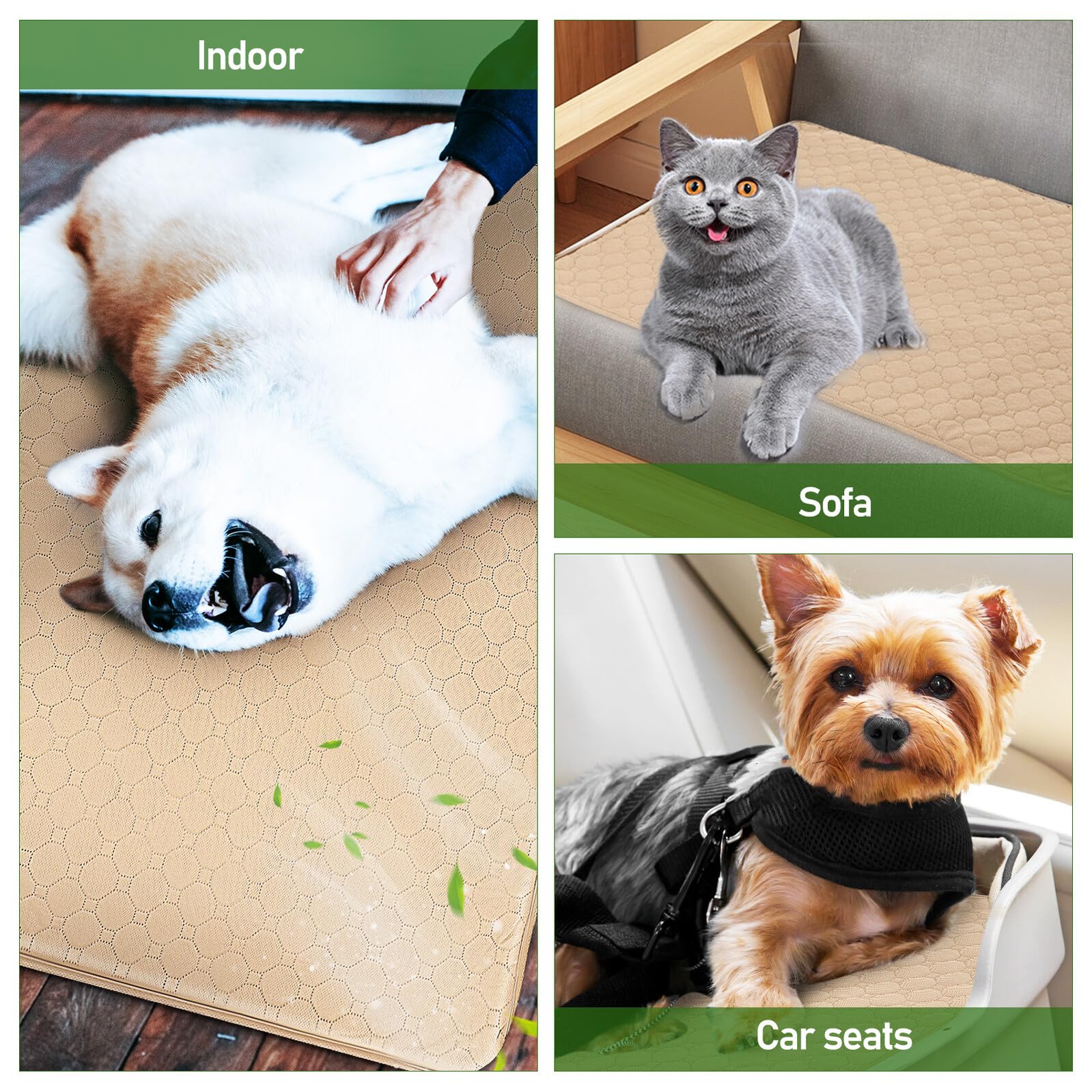 ARTIBETTER 2 pezzi Tappetino Igienico Cane Lavabile con Base Antiscivolo e Superficie Assorbente per Cani Gatti e Animali Domestici Traversine Riutilizzabili Impermeabili per Addestramento e