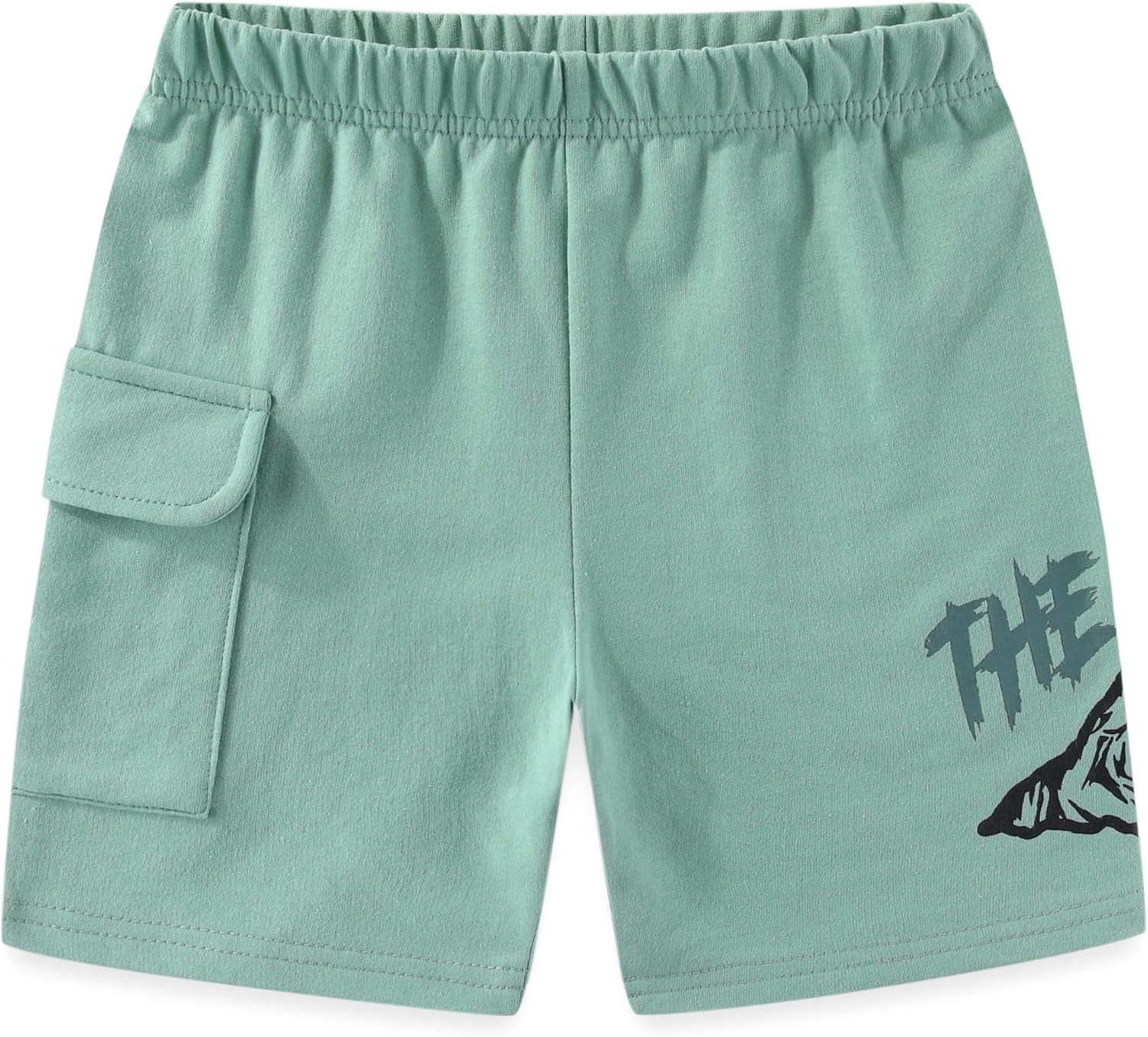 Jurassic World Rebirth Boys 2 Piece Short Sleeve T-Shirt and French Terry Shorts Set for Big Kids - Image 4