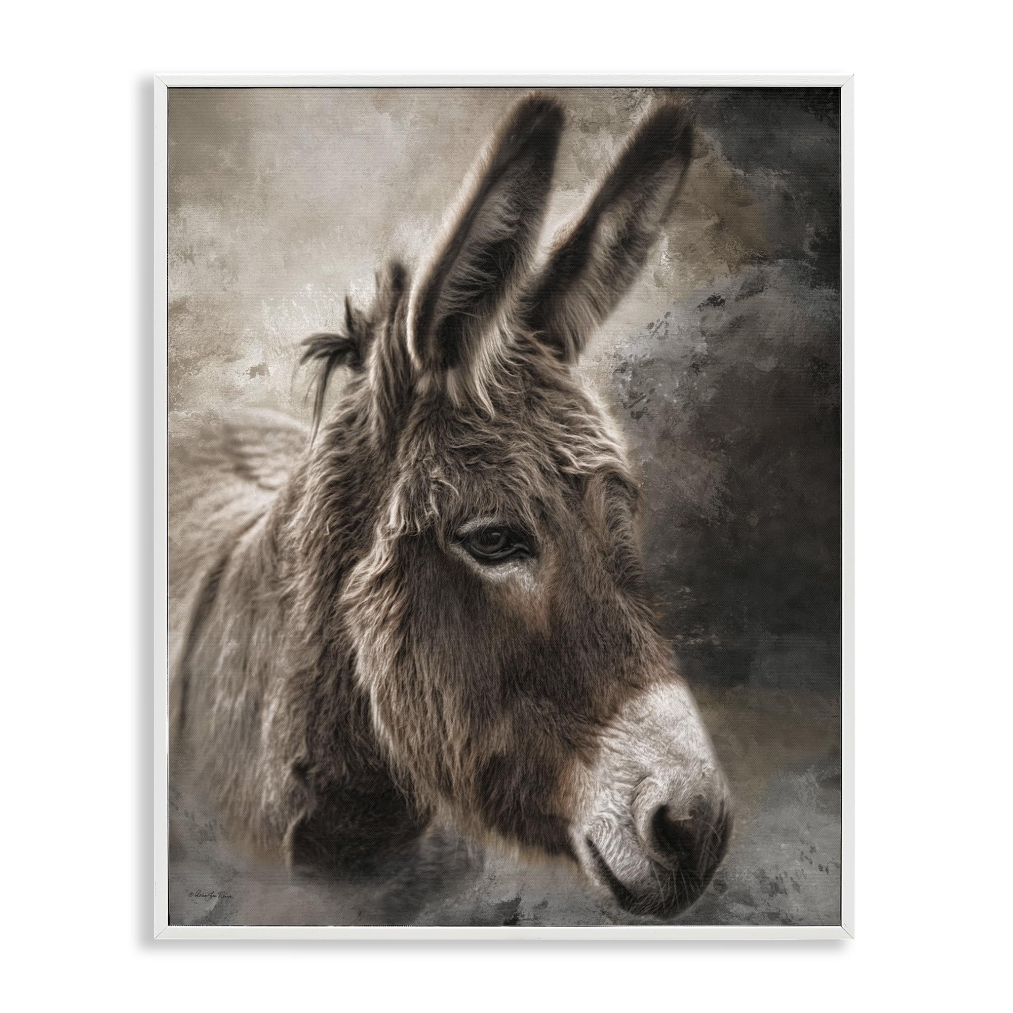 Stupell Industries All Ears Donkey Gray Framed Giclee Art, design by Robin-Lee Viera, 20 x 16