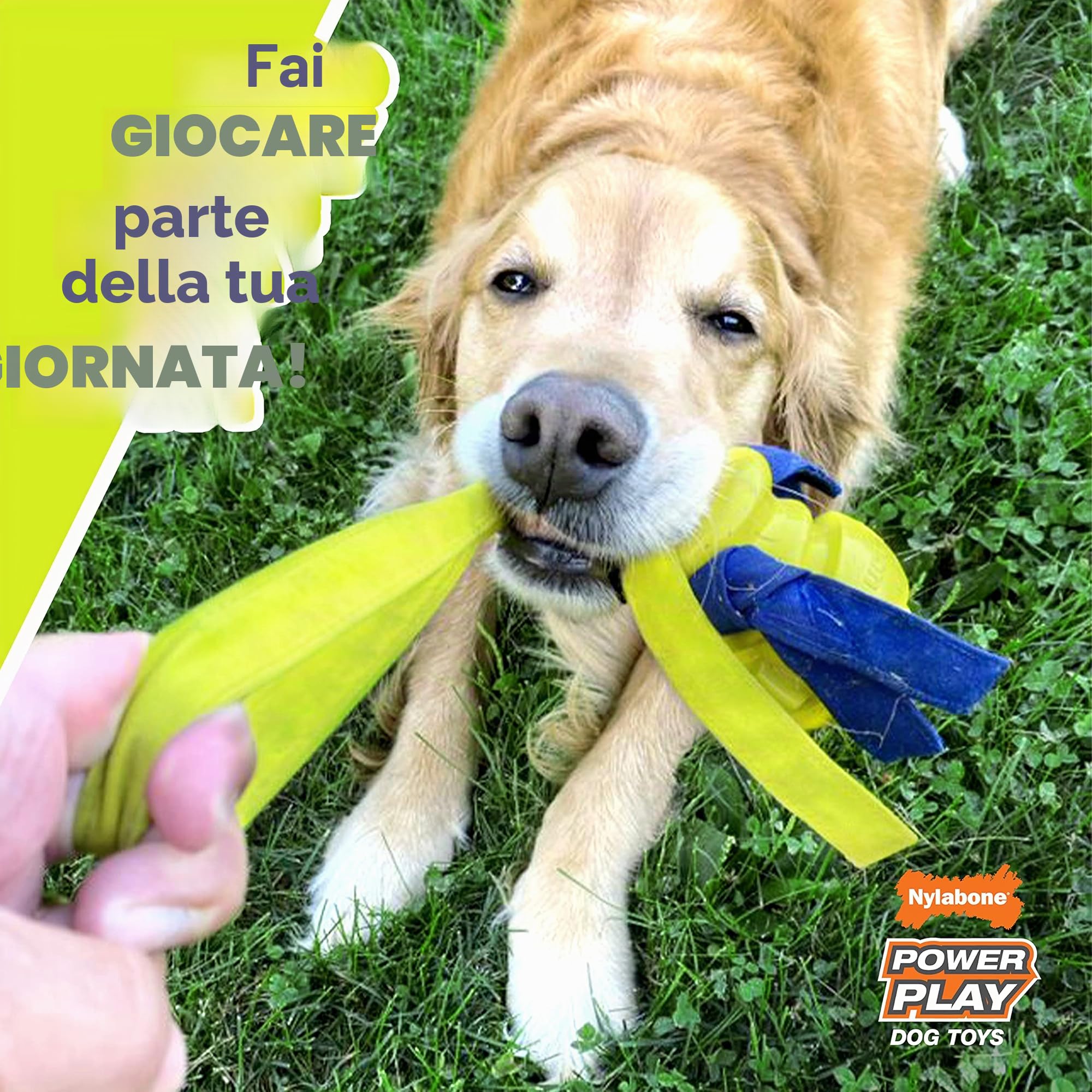 Nylabone Power Play Gripz - Palla da calcio per cani, con design facile da raccogliere, misura media, 14 cm