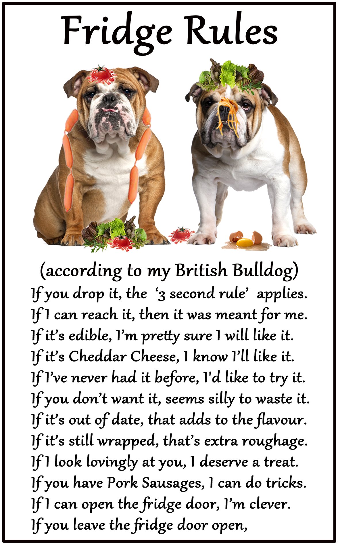 Fridge Magnets Bulldog Gift - Fridge Rules - Large Fun Flexible Fridge Magnet- Size 16Cms X 10 Cms (Approx. 6" X4")