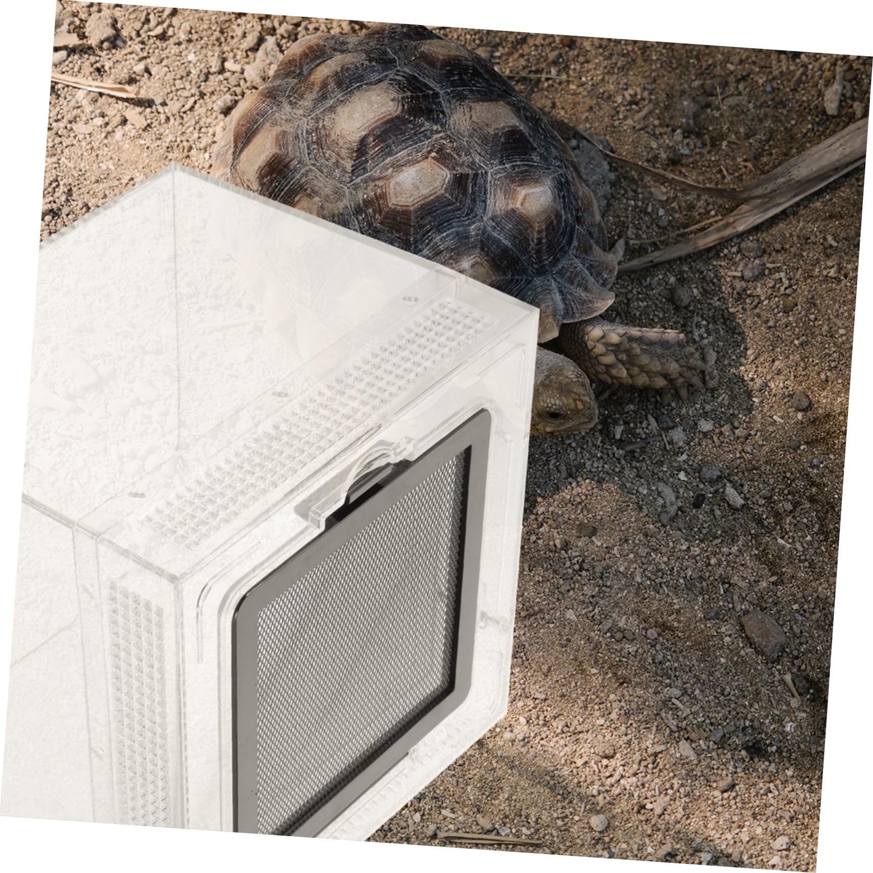 Toyvian Scatola per Rettili Trasparente con Chiusura Magnetica Scorrevole Recinto Pratico per Lucertole Tartarughe Ragni e Piccoli Animali Esotici Resistente e Facile da Pulire
