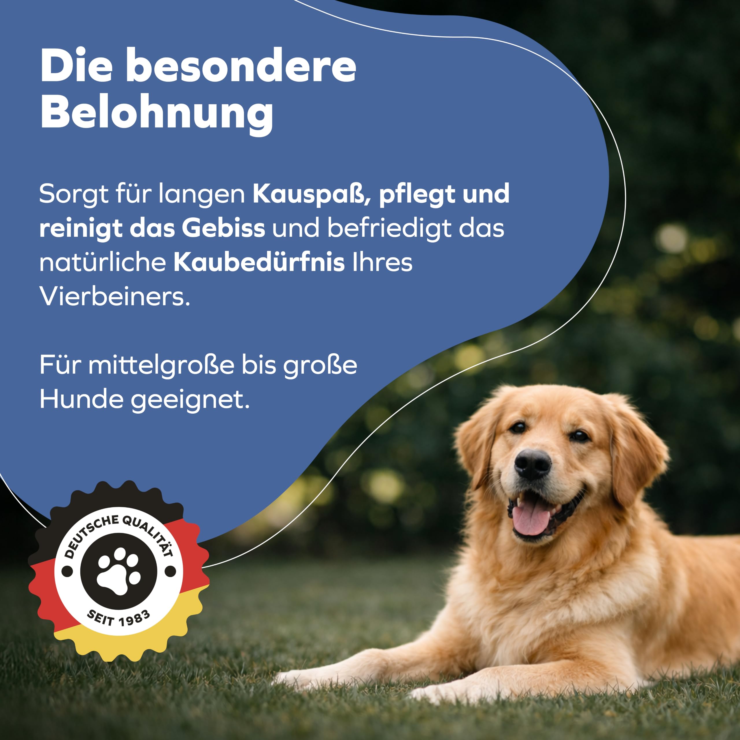 Rinderkopfhautplatten getrocknet - Dog Snacks Zahnpflege Hund - Hunde Kauartikel 2500g