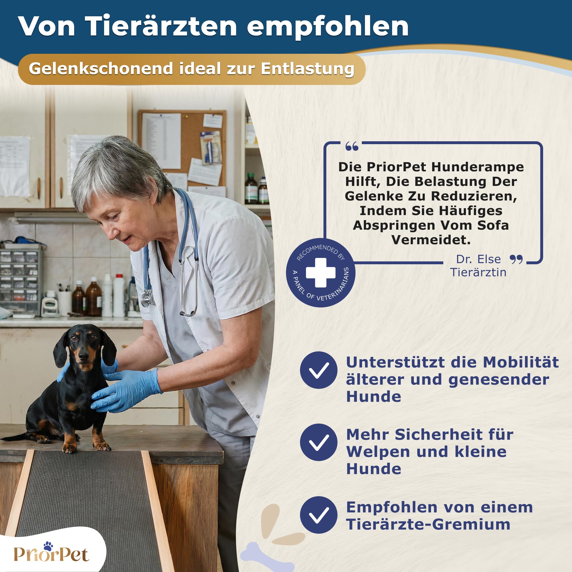 Hunderampe - Hundetreppe für kleine Hunde und große Hunde - Einstellbar 18-53 cm - Für Bett Sofa - Birkenholz - Landeplattform schließt nahtlos an - Rampe Hund Klappbar - Anti-rutsch Einsatz Schwarz