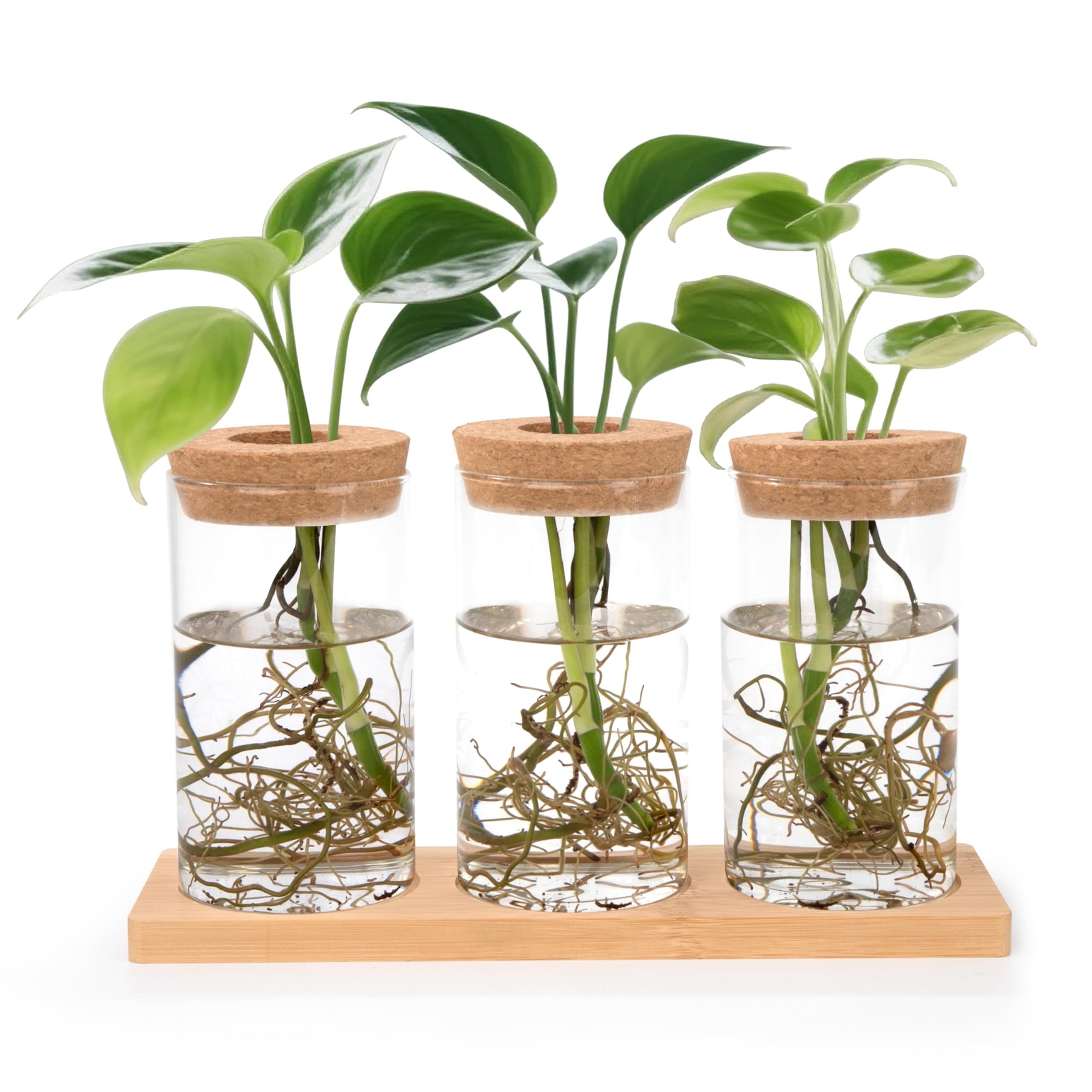 Stations de Propagation de Plantes Vases Hydroponiques avec Socle et Bouchons en Bois pour pour Plantes Aquatiques ou Fleurs 3 Pièces