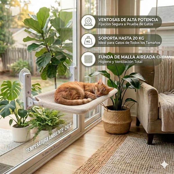 Hamaca Gato Ventana (52x30cm) Bestfriend® | Plegable, Lavable y Transpirable | Ventosas Reforzadas para Seguridad y Estabilidad hasta 18 kg (Caqui) - 2