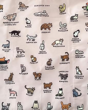BAGGU Unisex Standard Baggu 100% recycled